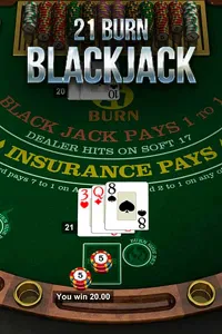 CasiGO Casino 21 Burn Blackjack